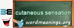 WordMeaning blackboard for cutaneous sensation